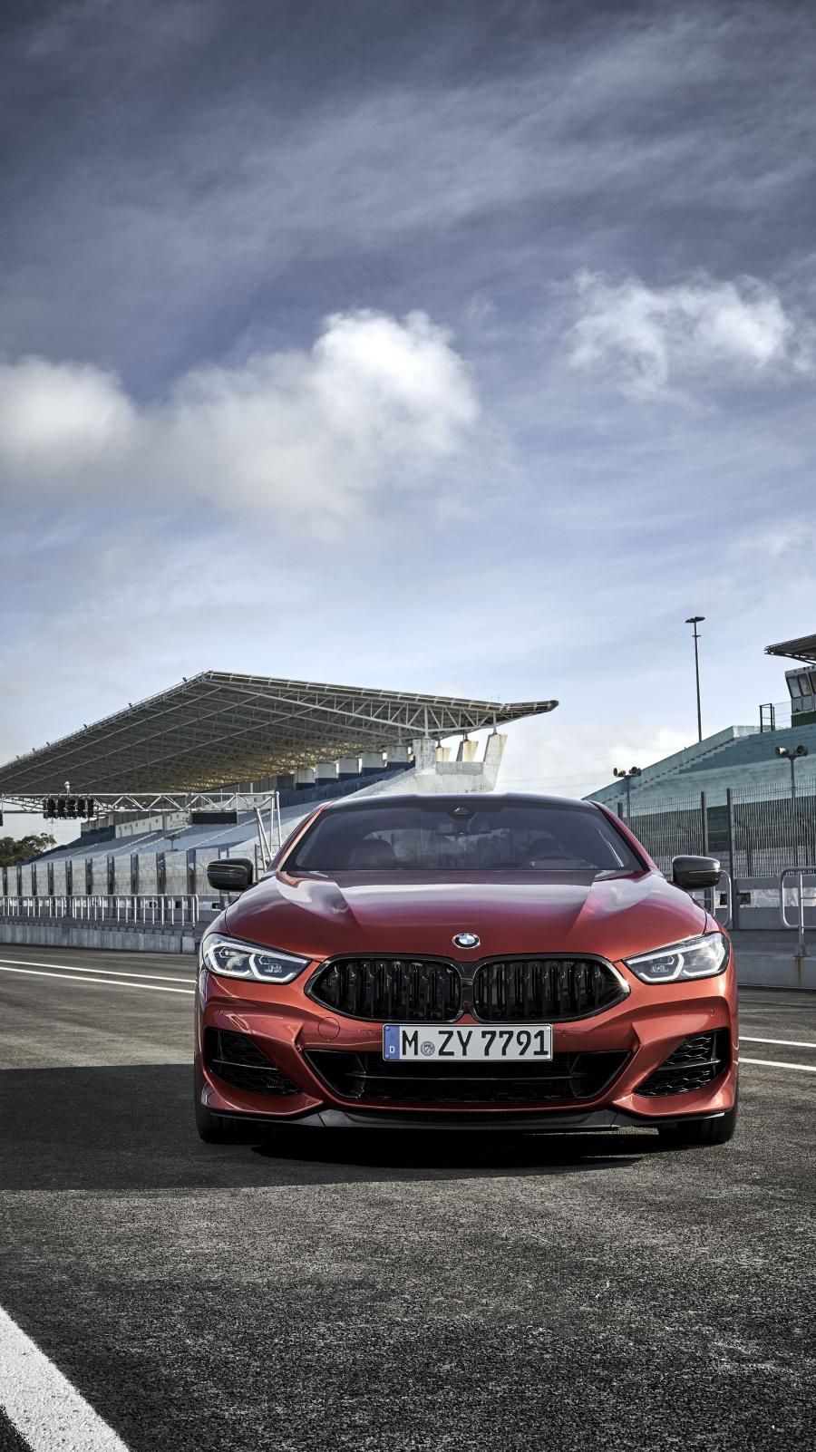  BMW M850i xDrive Carbon Package (G15) 2018 года  (WW) (фото 126 из 287)